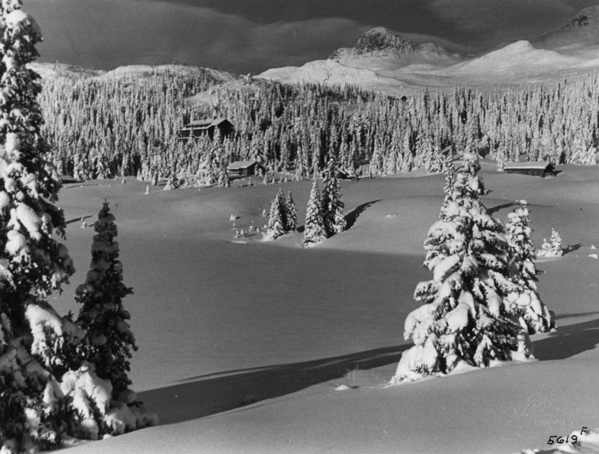 Anders Beer Wilse, Oversiktsbilde, Vinter, Sno