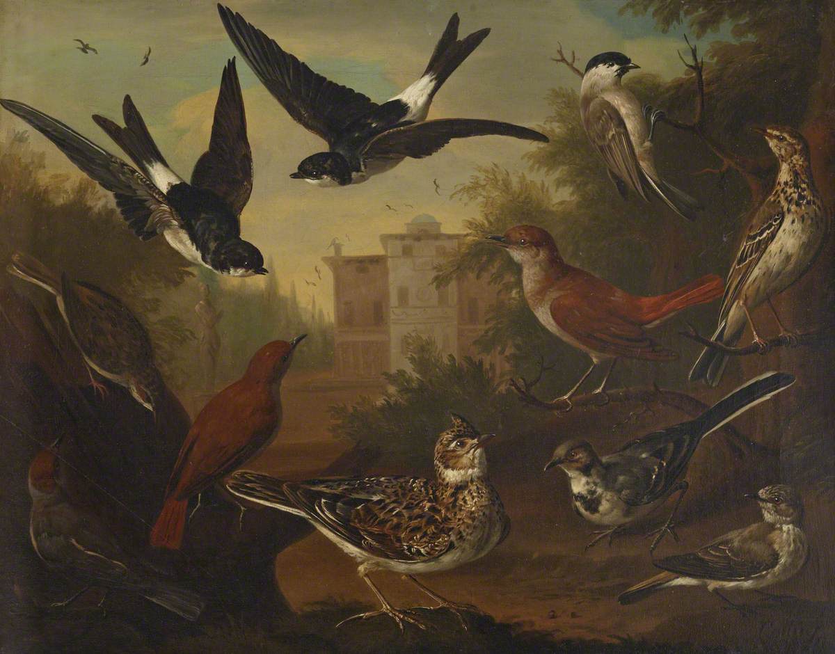 Charles Collins, British Birds: Cock Skylark; Hen Beam Bird; Hen White Wagtail; Hen Blackcap; Cock Nightingale; Hen Nightingale; Cock and hen house Martin; Cock Marsh Titmouse; Hen Titlark and a Hen Grass Hopper