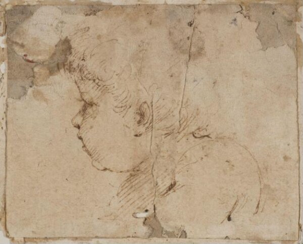 Guercino, Head and Shoulders of a Baby