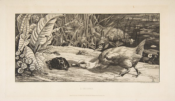 Félix Bracquemond, L'Inconnu