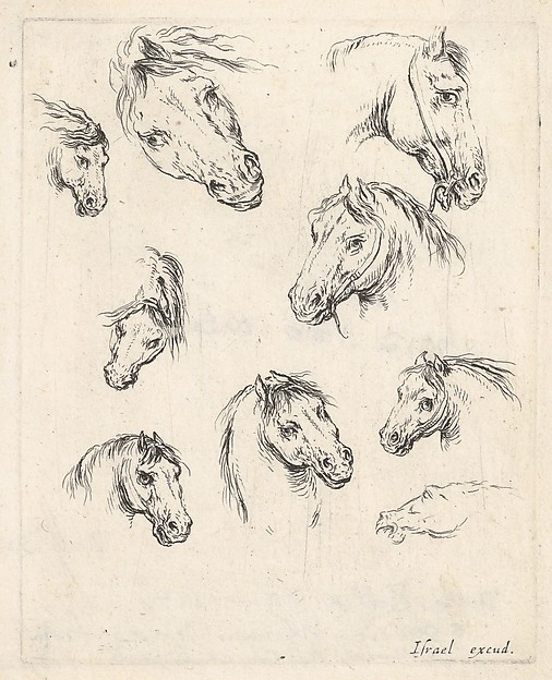 Stefano della Bella, Plate 17: nine studies of horse heads, from "Various heads and figures" (Diverses têtes et figures)