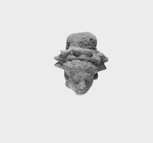 Unknown, Head with Knot(?) and Wreath(?)