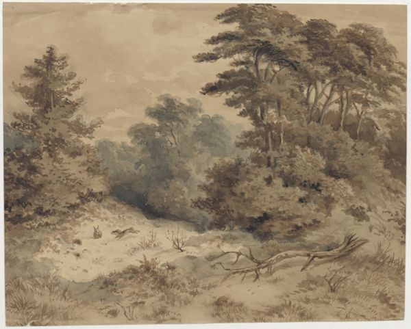 Kikkert, Jan Elias, (1843-1925), (artist), Dune landscape with two hares