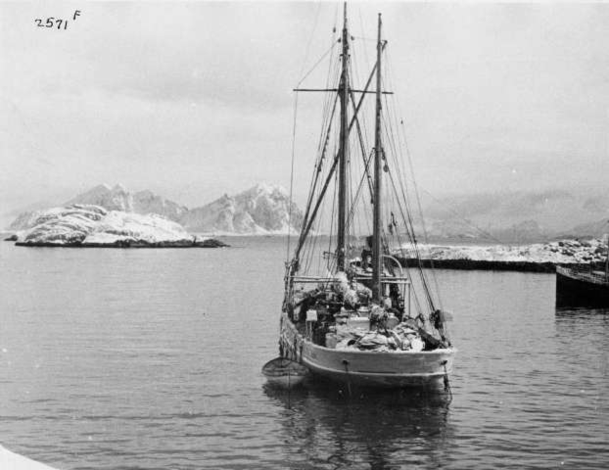 Anders Beer Wilse, -6829