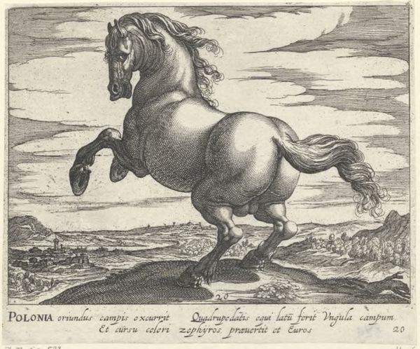 Panderen, Egbert van, (1581-1637?), (printmaker), Horse breeds: Landscape with a horse from Poland