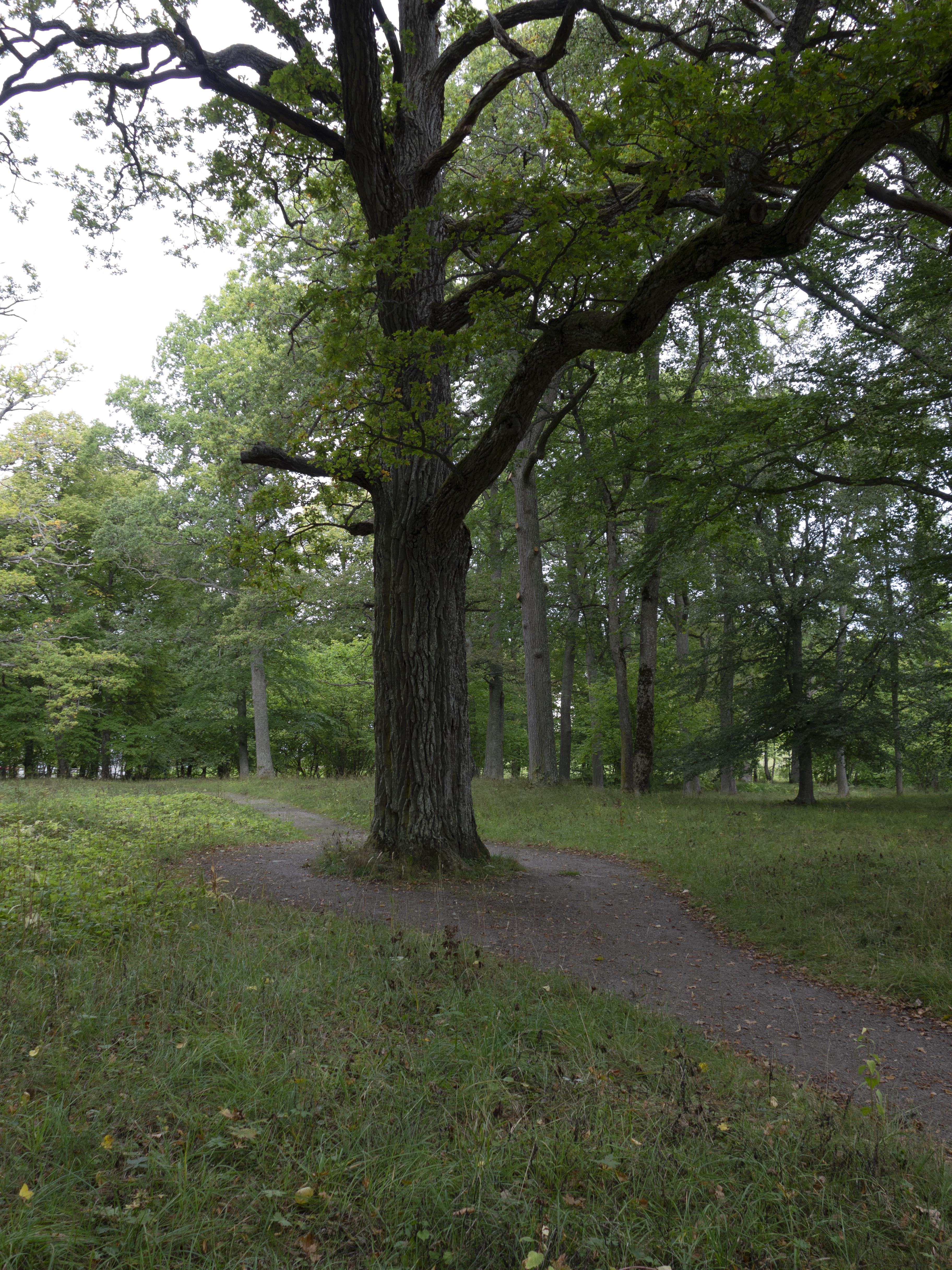 Leif Gren, Tyresö slottspark