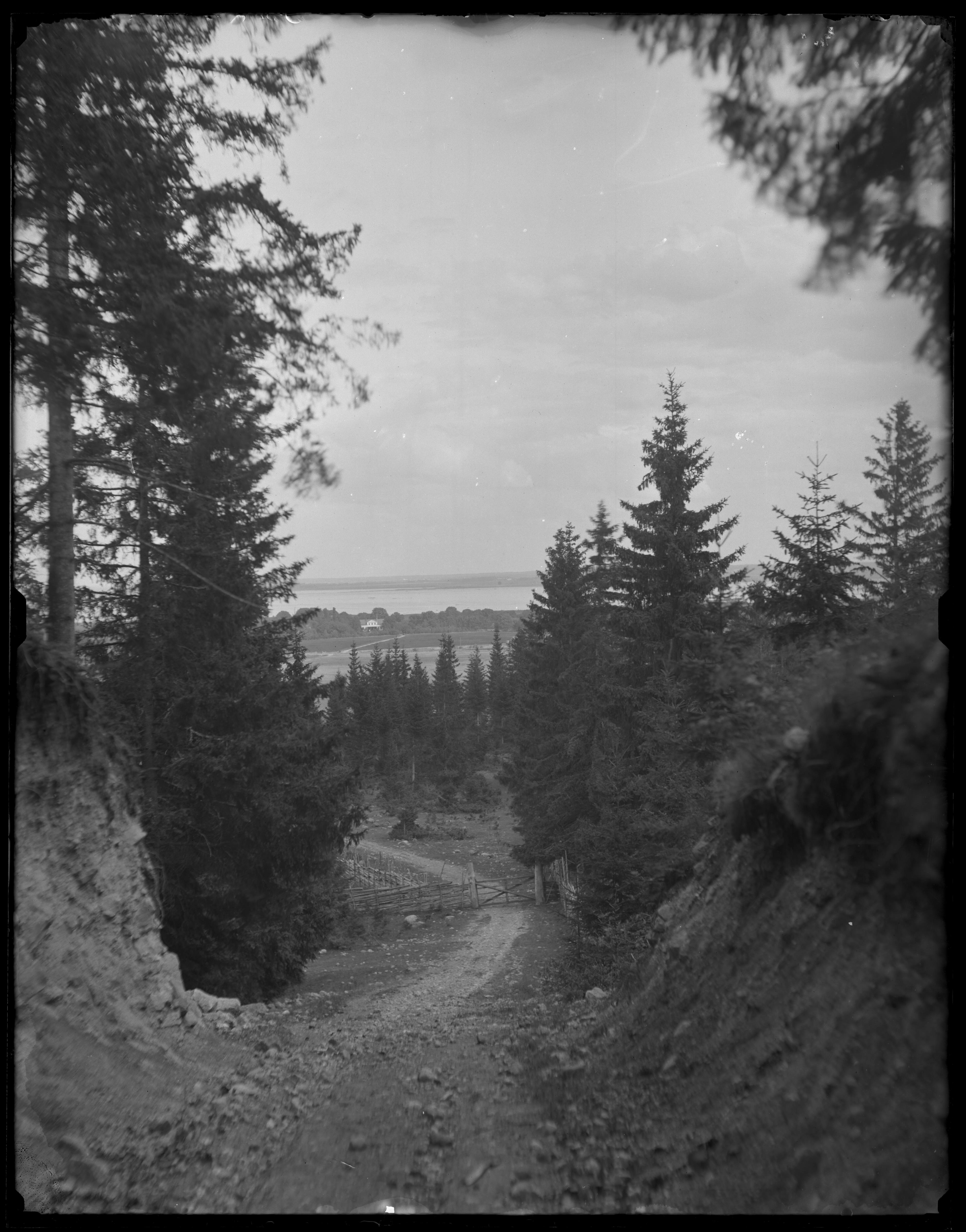 Carl Curman, Omberg