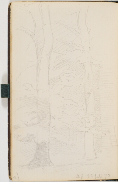 P.C. Skovgaard, Skovinteriør