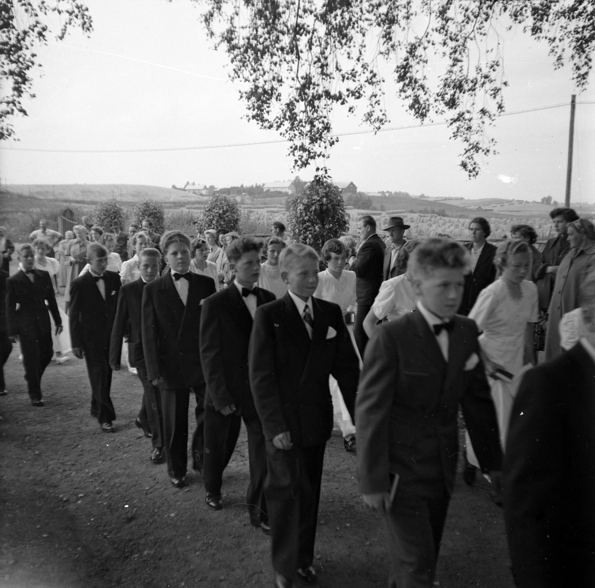 Adolf Skjegstad, ASK-04486