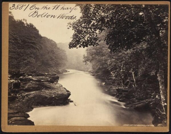 Francis Frith, On the Wharfe.  Bolton Woods