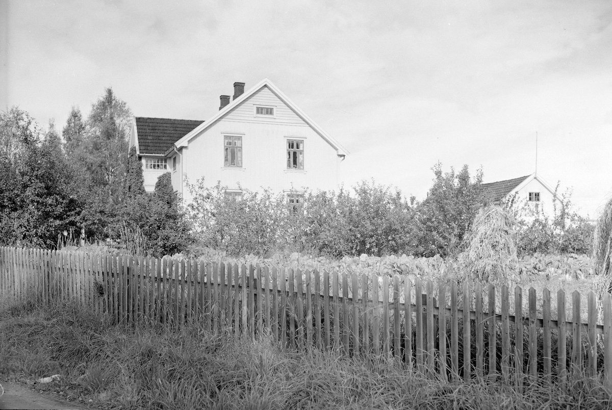Anno Domkirkeodden, EKSTR: GARDSTUN, KRINGSJÅ, LØTEN. Se Løtenbok nr. 3 fra 1955 side 294