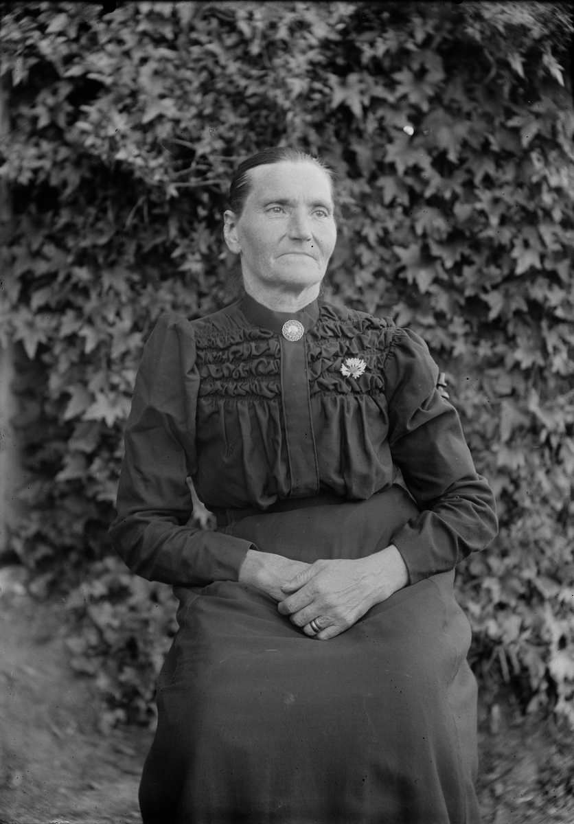 Josef Ärnström, Josef Ärnströms mor Lovisa, Sonbo, Films socken, Uppland 1911