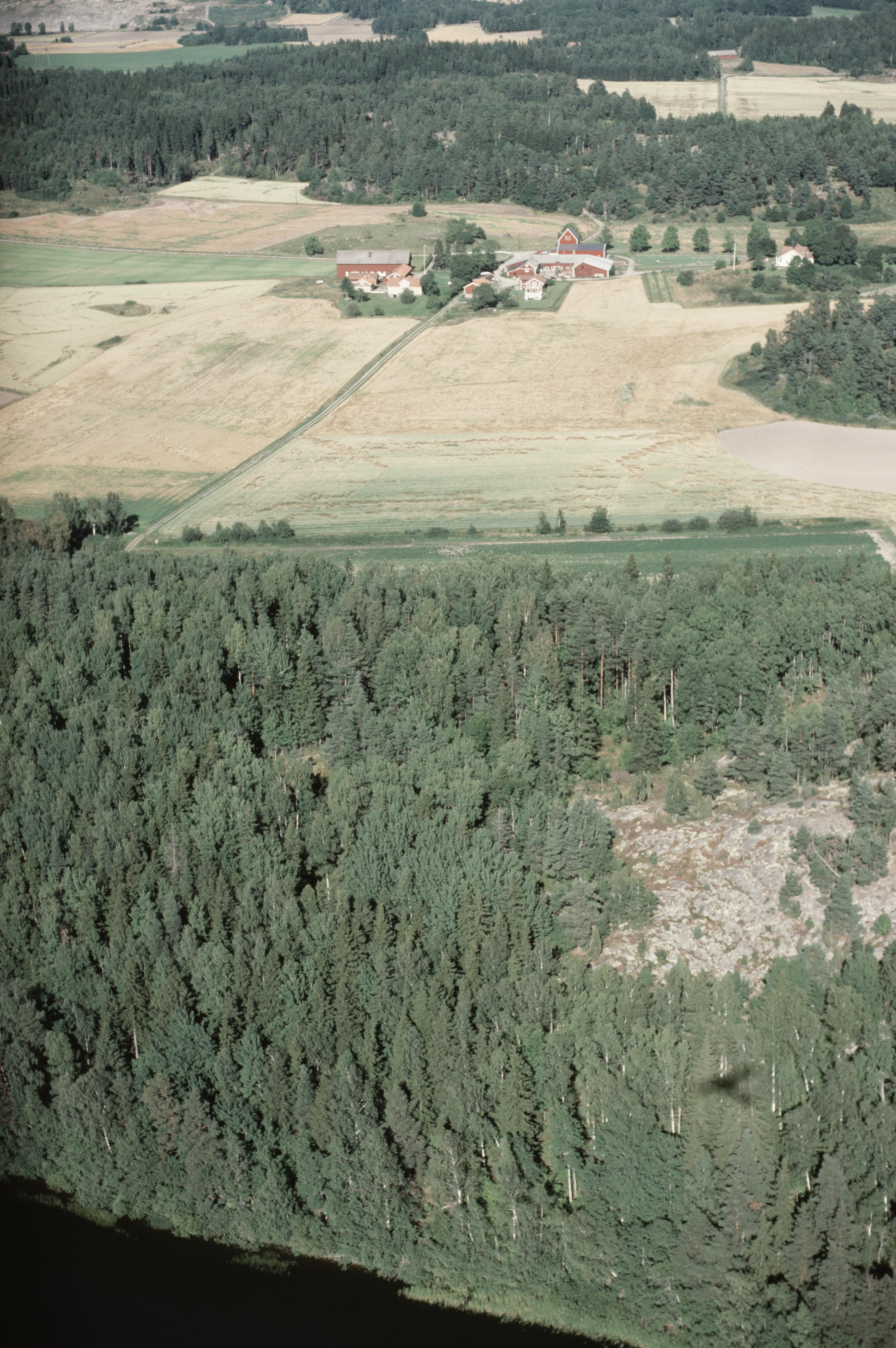 Jan Norrman, Vårdinge 244:1