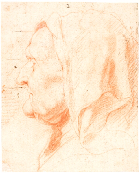 Jacob Jordaens, Hovedprofil af gammel kvinde med tørklæde