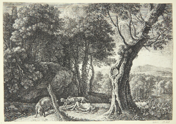 Herman van Swanevelt, Adonis' død