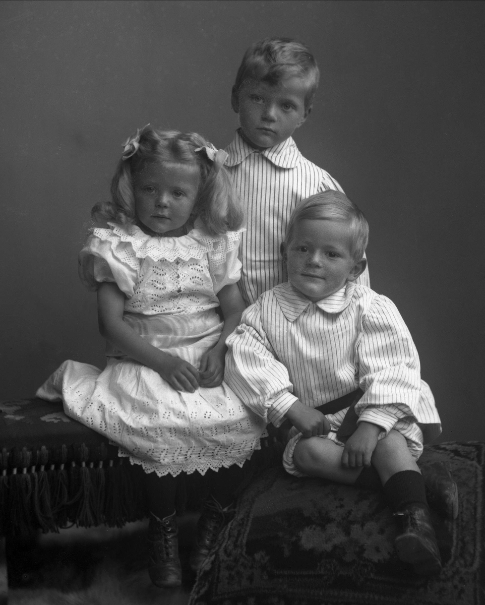 Gustav Borgen, NFB.33834