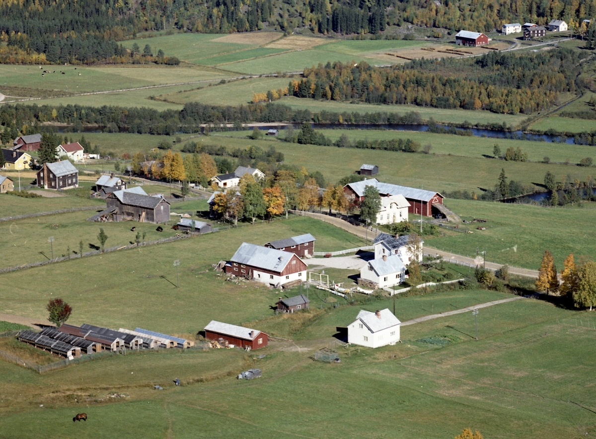 Widerøes Flyveselskap A/S, Gardsbruk