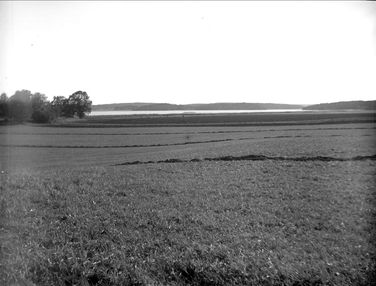 August Fredrik Schagerström, Odlingslandskap vid Garnsviken, Sigtuna, Uppland i oktober 1927