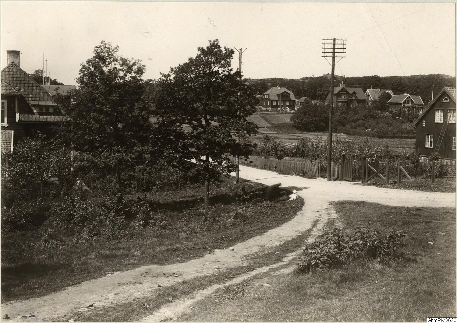 Otto Thulin, fotografi, bilder