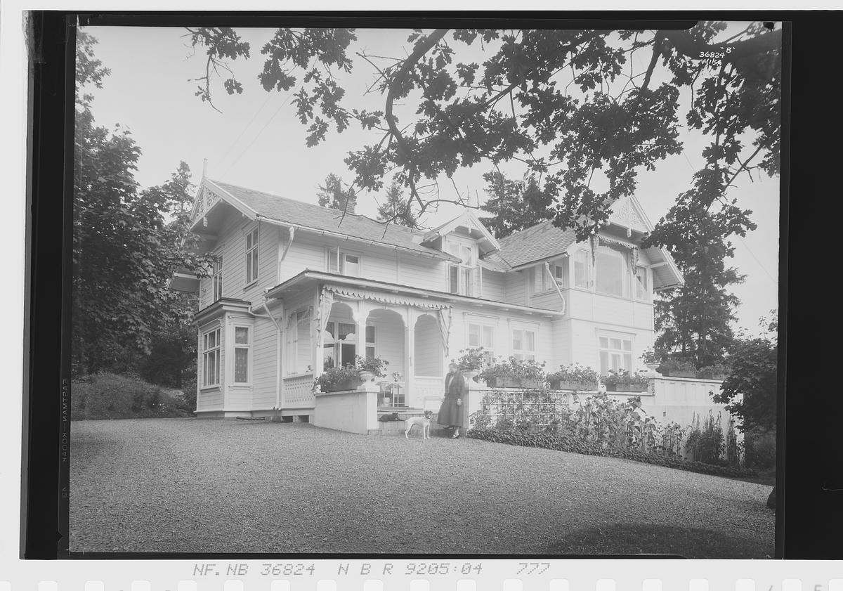 Anders Beer Wilse, Prot: Jensen Villa