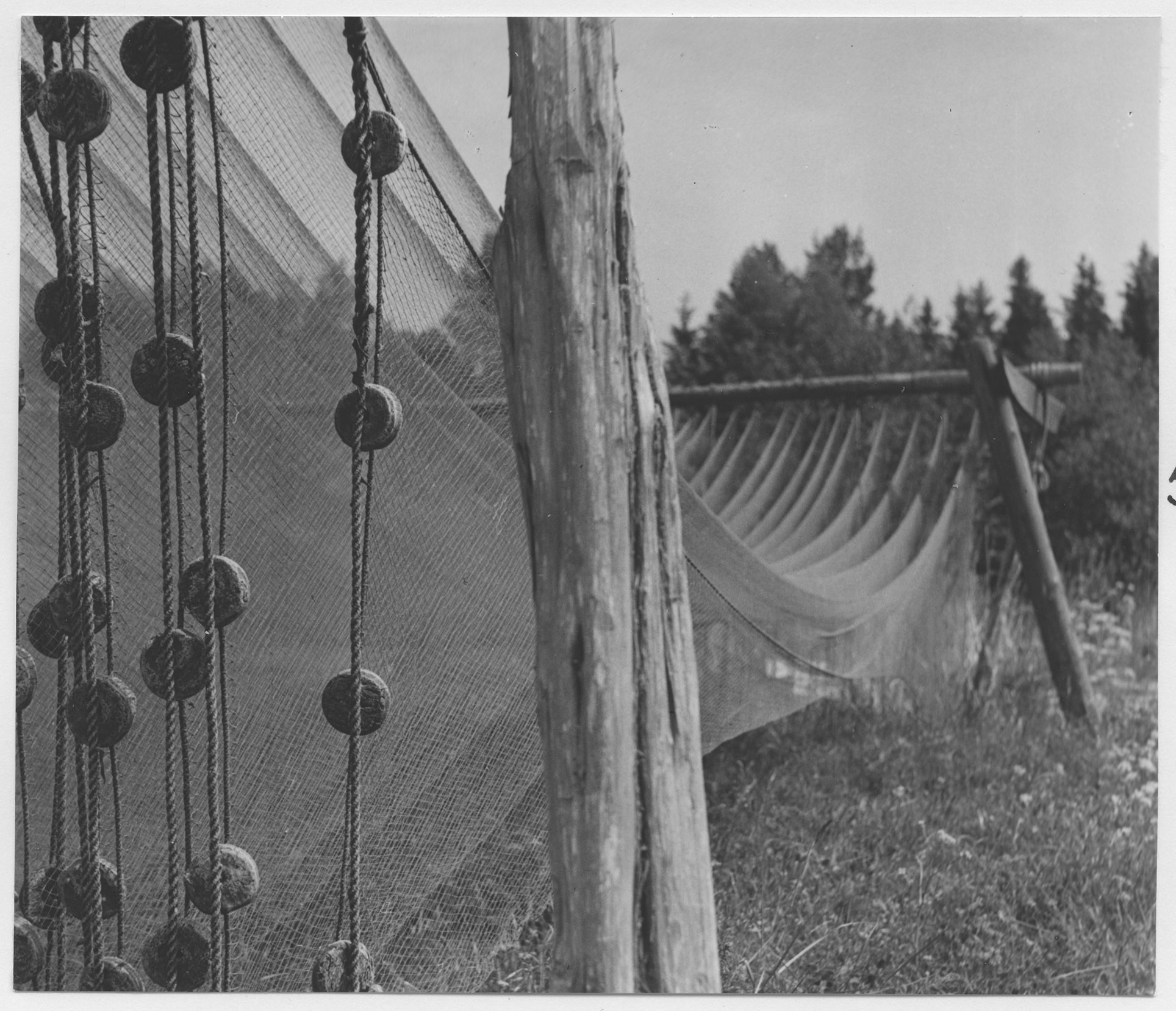 Mårten Sjöbeck, Gårdskär