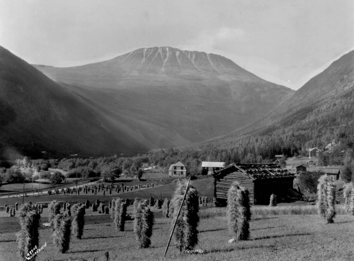 Anders Beer Wilse, Landbruk, Gaustatoppen, Vestfjorddalen.