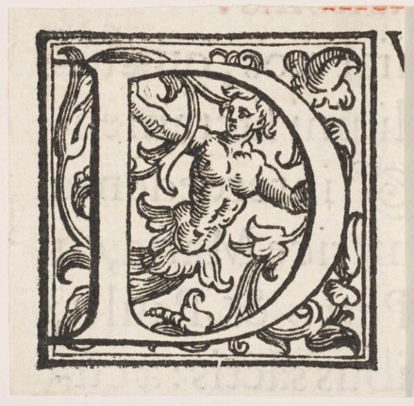 Unknown, Print