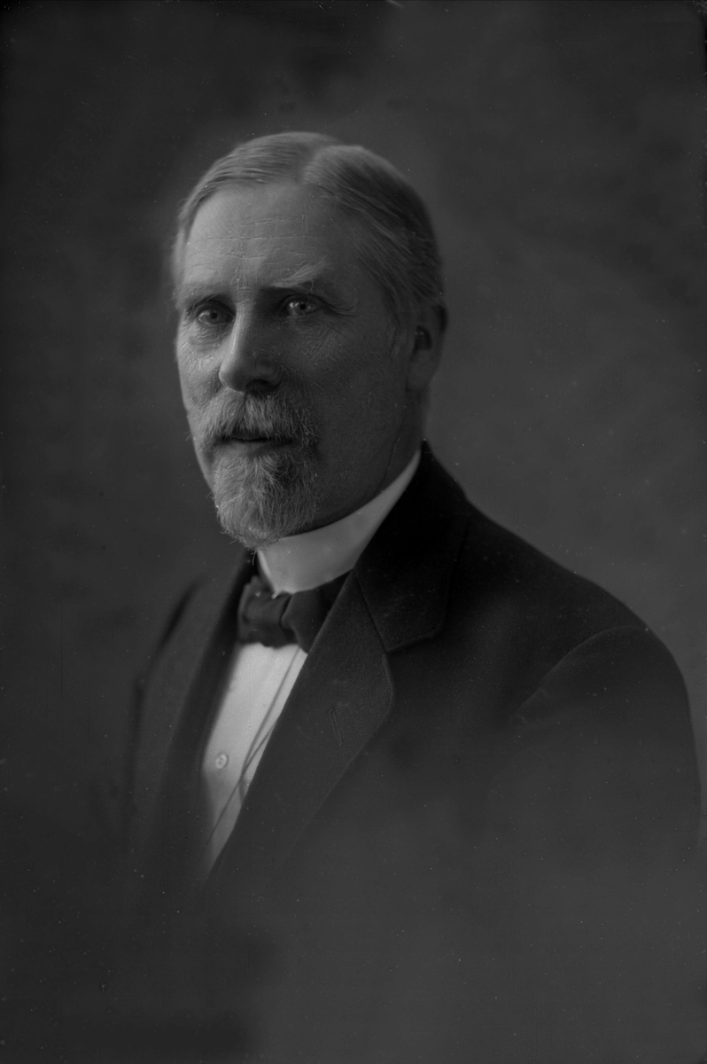 Gustav Borgen, NFB.19949