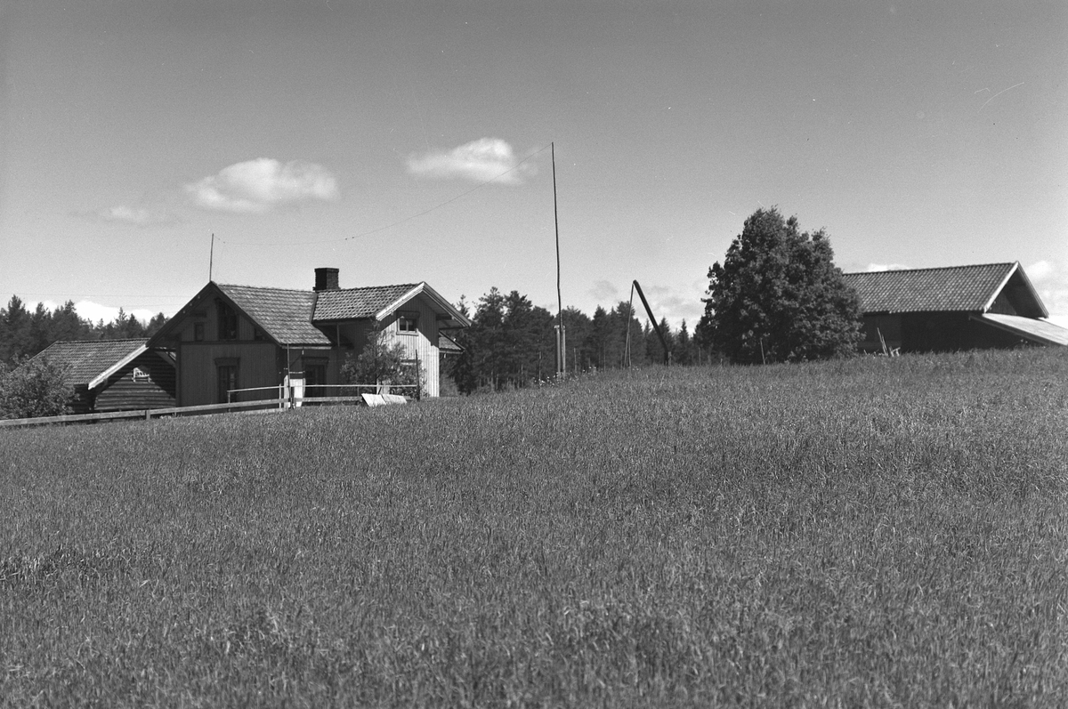 Anno Domkirkeodden, EKSTR: GARDSTUN, ØSTERHAUG. Se Løtenboka, Bygdebok fra 1953 bind 2. side 495