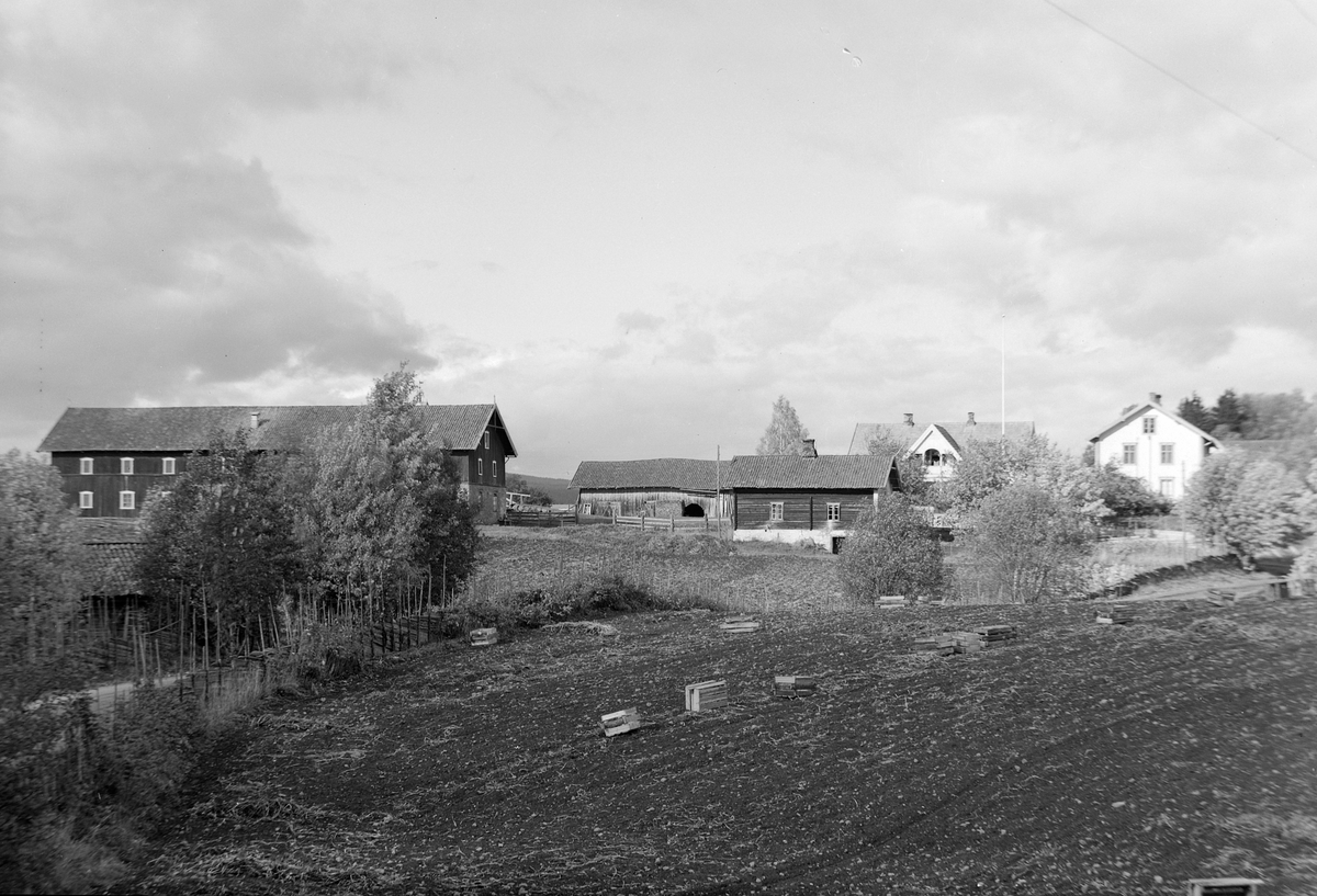 Anno Domkirkeodden, EKSTR: GARDSTUN, RØMMEN VESTRE, LØTEN (RØMMEN STORE) Se Løtenboka, bind 1. Bygdeboka fra 1949, side 411