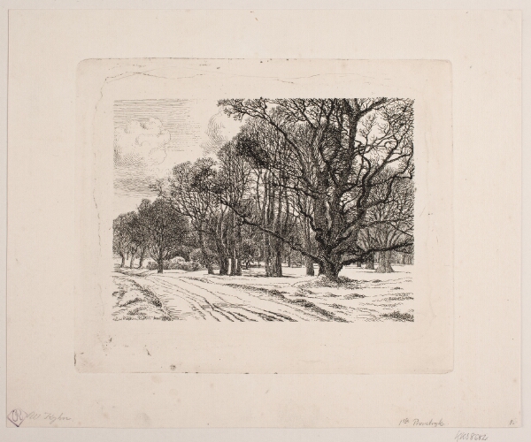 Vilhelm Kyhn, Vinter i skoven