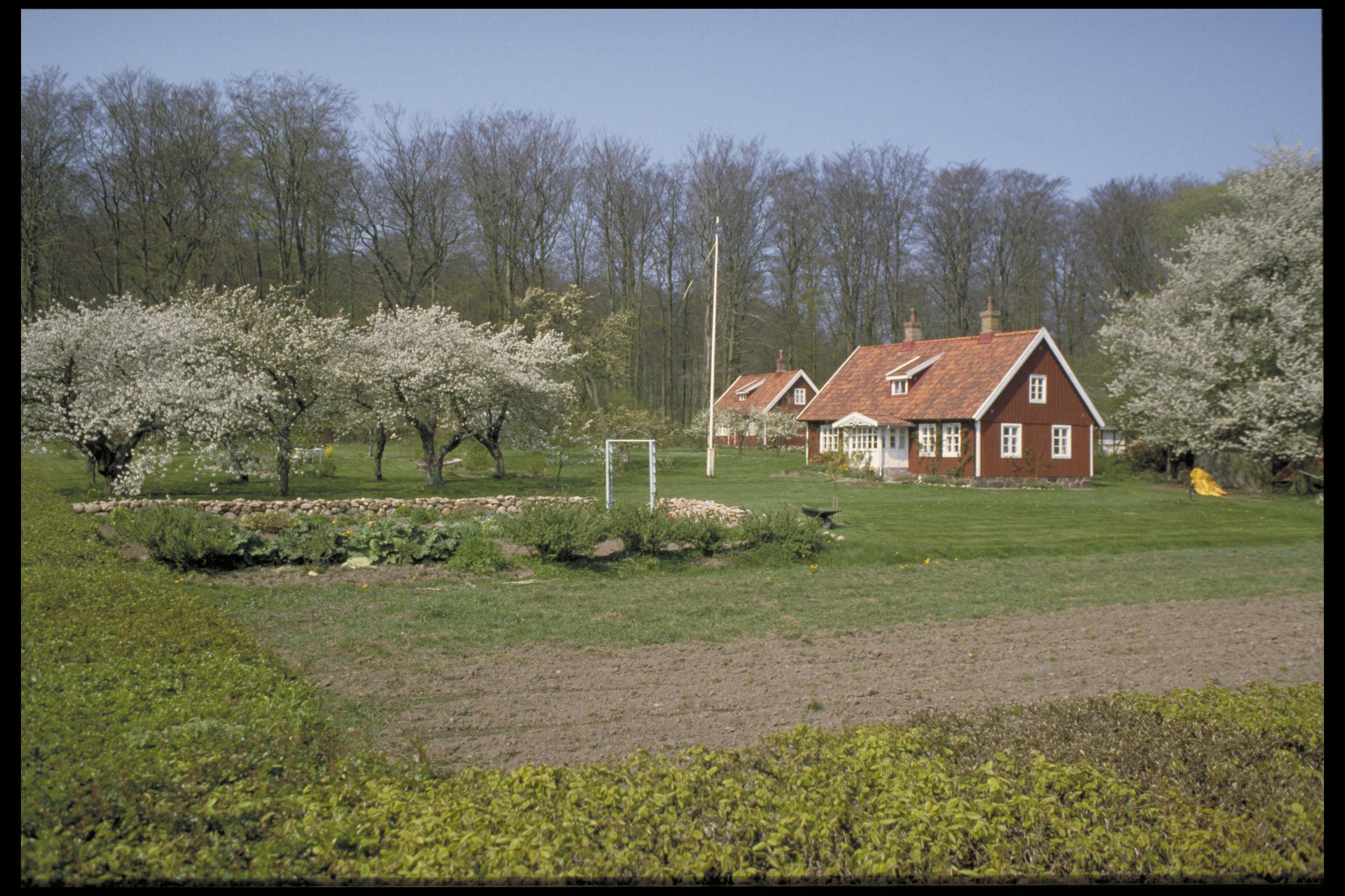 Bengt A Lundberg, Mölle