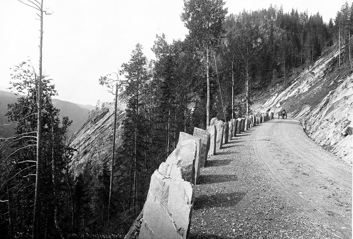 Axel Lindahl, "Prot: Valdres Mellem Fjeldheim - Frydenlund