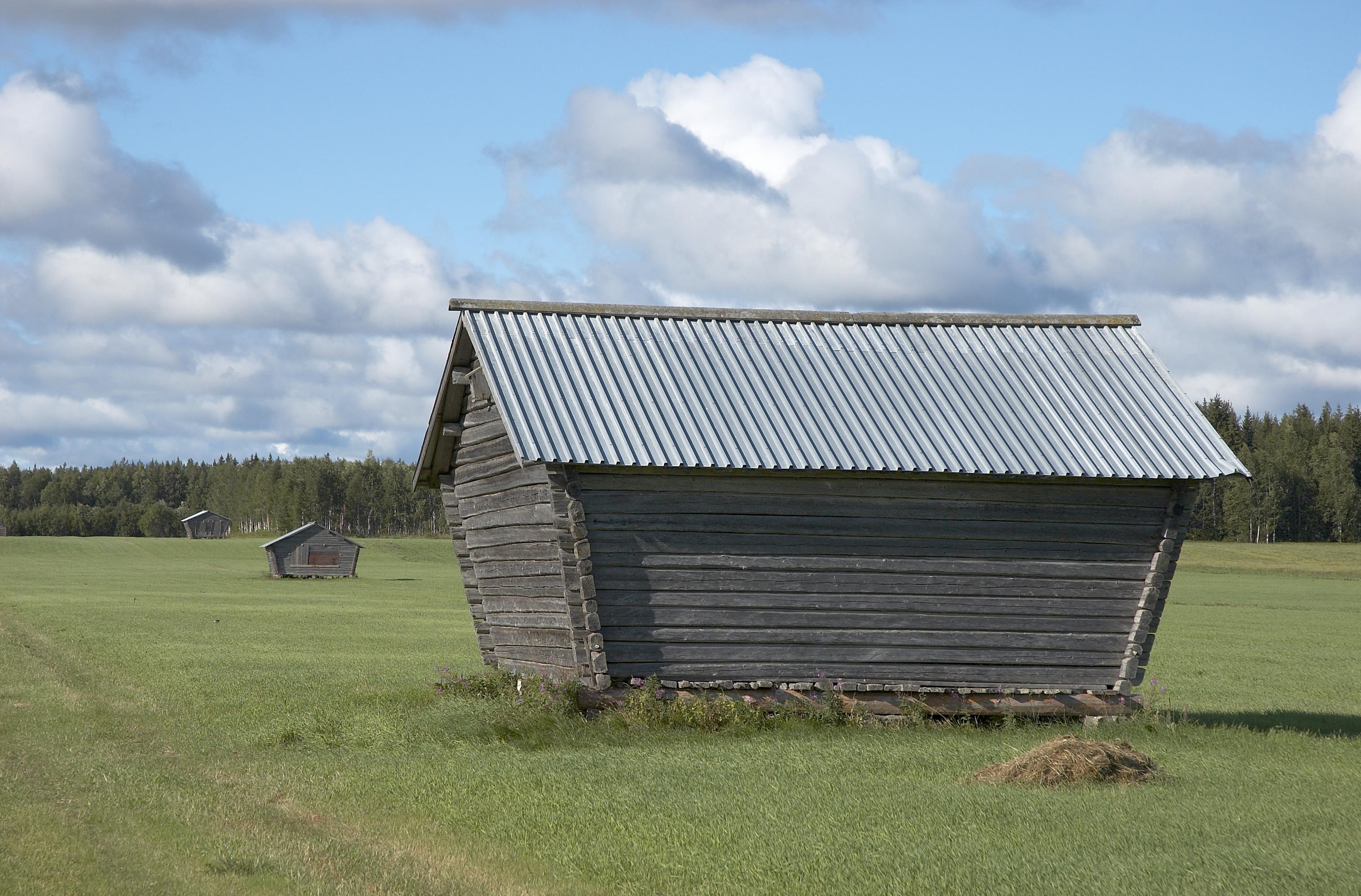Bengt A Lundberg, Avan
