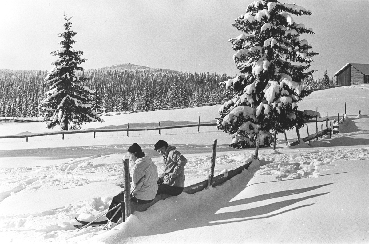 Anders Beer Wilse, Prot: Nordmarka For Skiidr. fremm