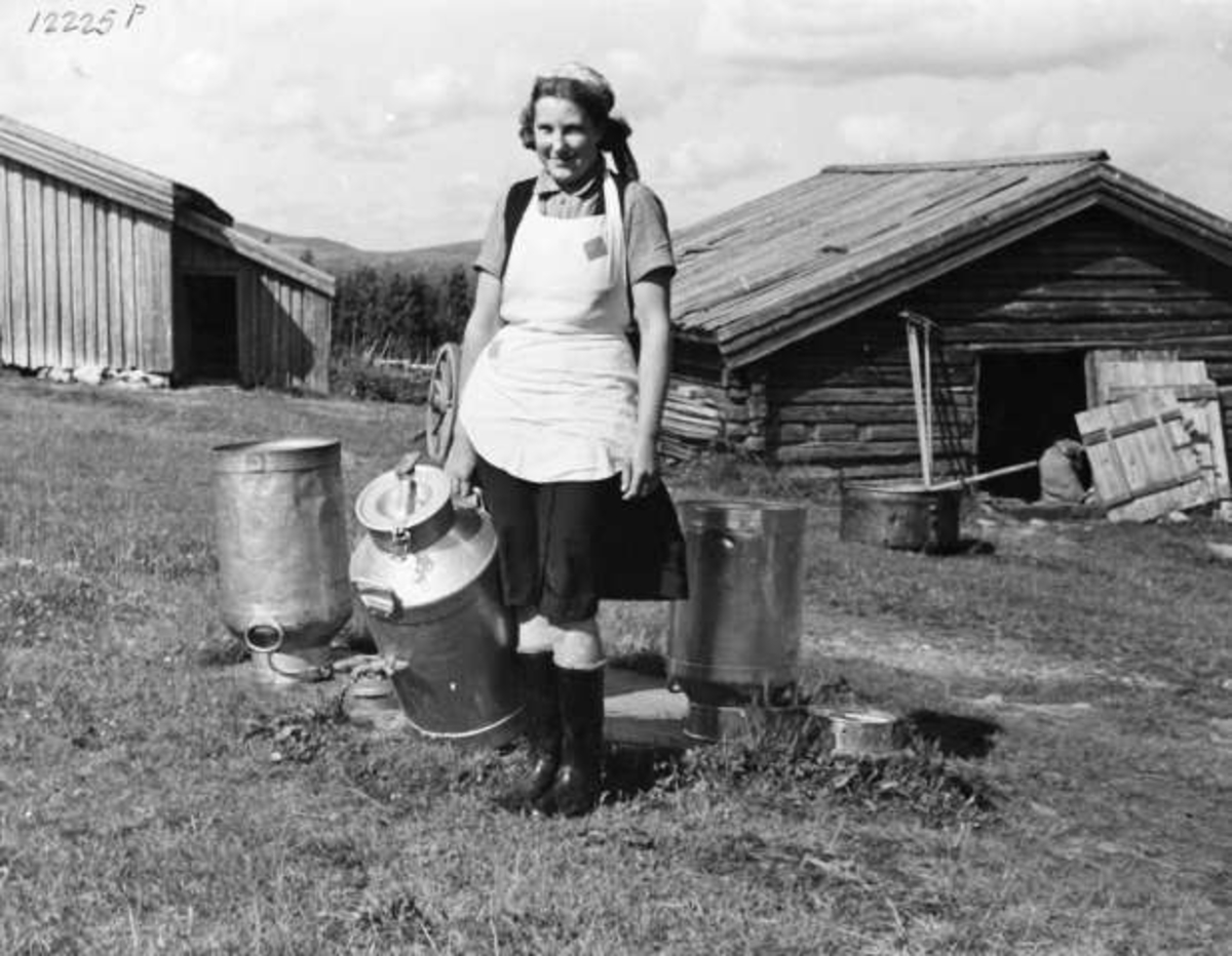 Anders Beer Wilse, -7999