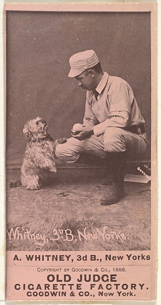 Goodwin & Company, Arthur "Art" Wilson Whitney, 3rd Base, New York, from the Old Judge series (N172) for Old Judge Cigarettes