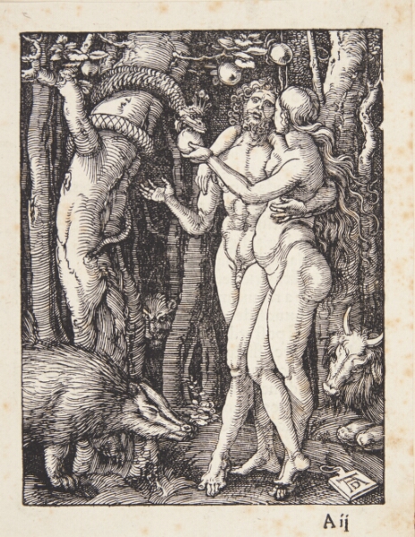 Albrecht Dürer, Syndefaldet