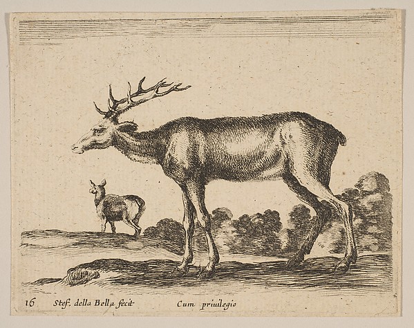Stefano della Bella, Plate 16: Stag, from "Various animals" (Diversi animali)