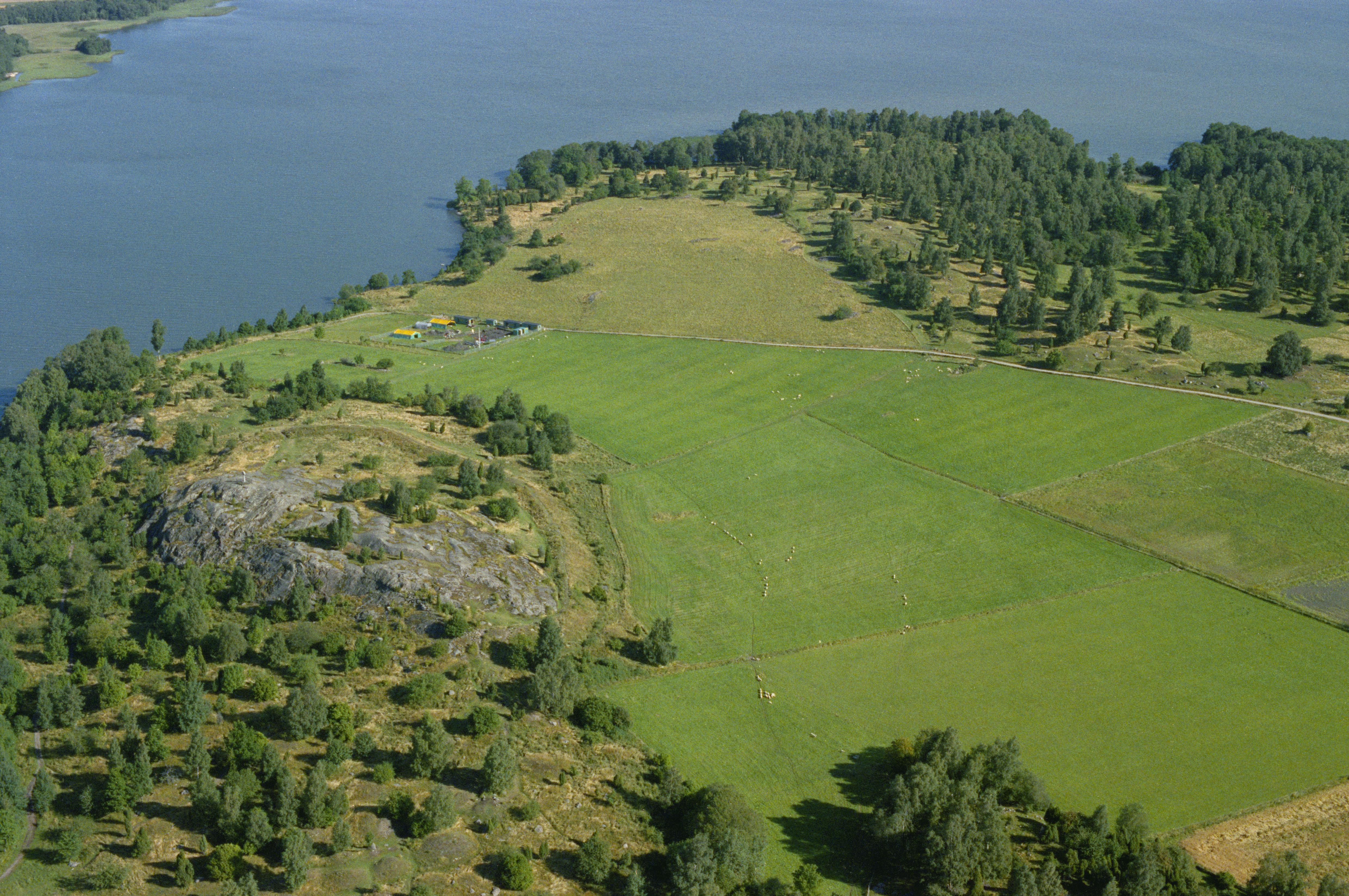 Jan Norrman, Adelsö 118:1