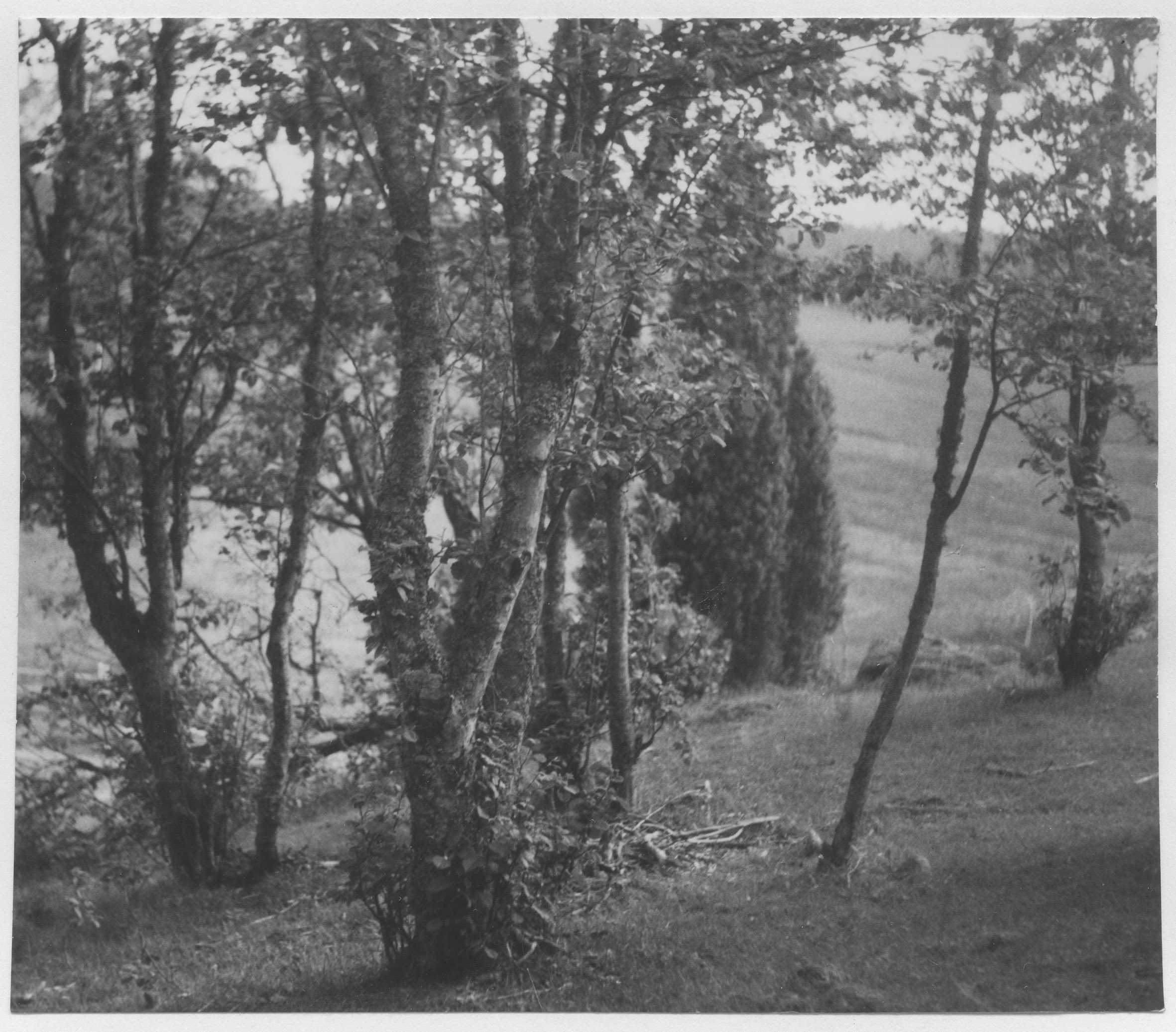 Mårten Sjöbeck, Dalen