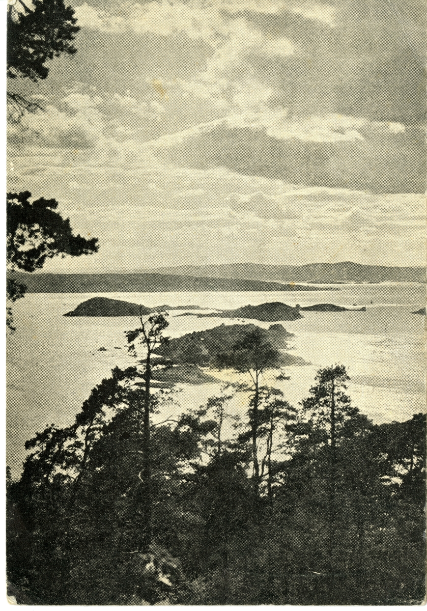 Anders Beer Wilse, Oslofjord fra Ekeberg