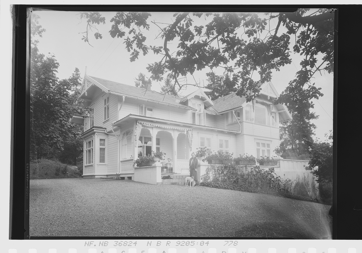 Anders Beer Wilse, Prot: Jensen Villa