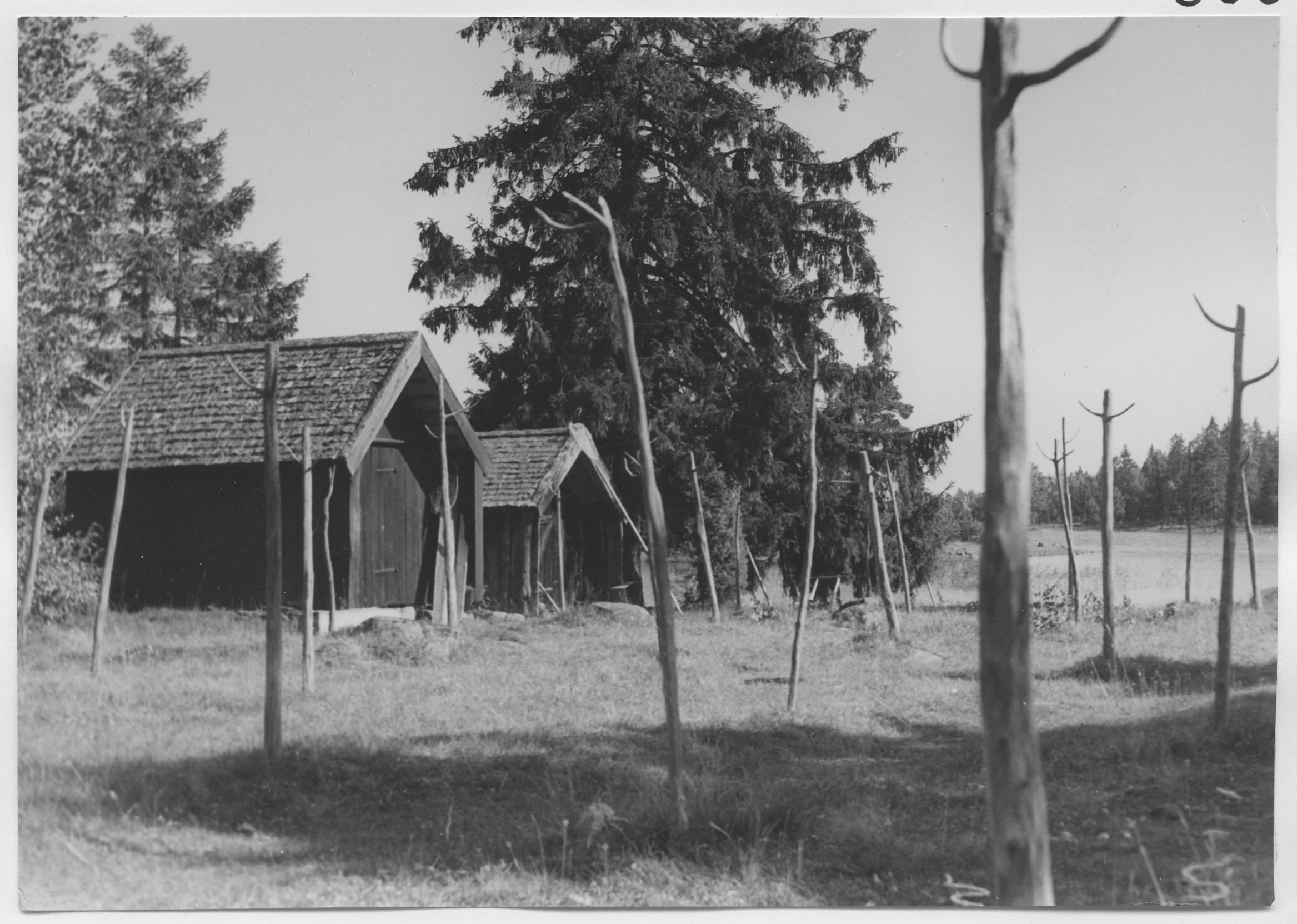 Mårten Sjöbeck, Lövö