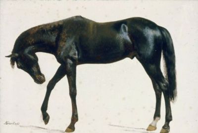 Albert Bierstadt, Black Horse
