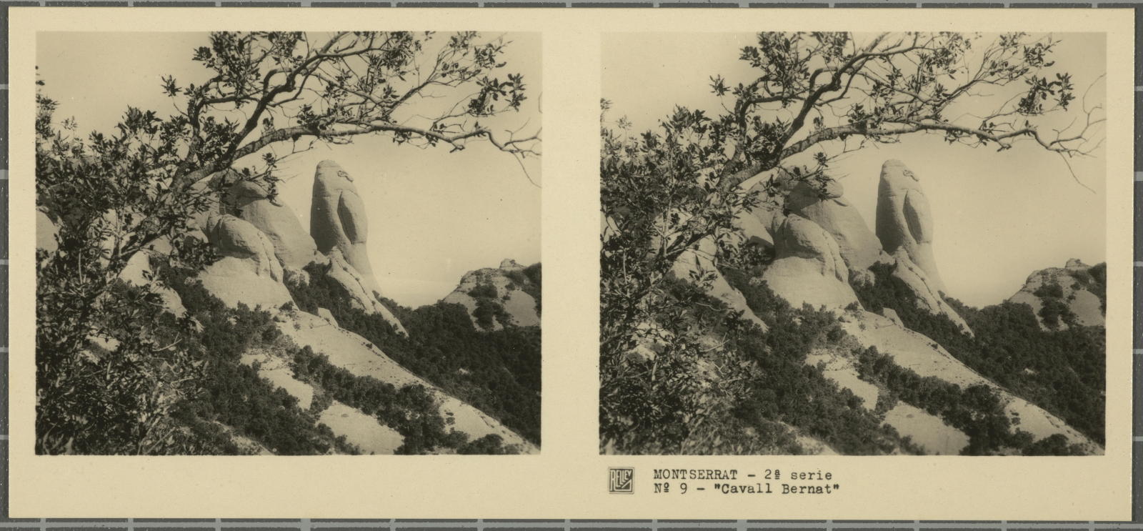 Desconegut, Montserrat (Barcelona)