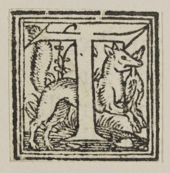 Unknown, Print