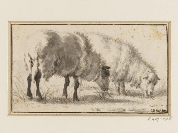 Cornelis Saftleven, Two Sheep Grazing