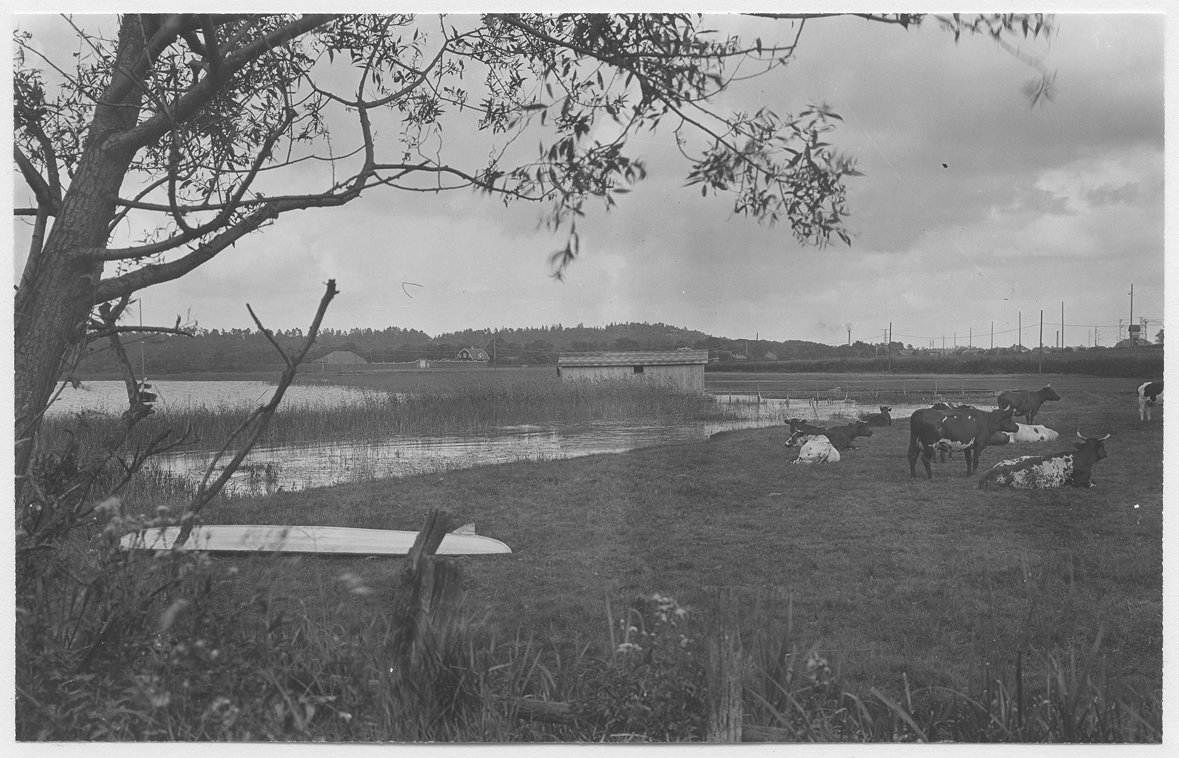 Mårten Sjöbeck, Alingsås