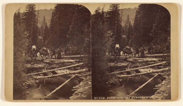 William Henry Jackson, Burro Crossing Stream - Steadfast.